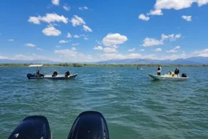 Pronađeno tijelo muškarca u Skadarskom jezeru nakon višednevne potrage