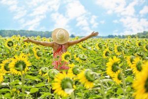 Bioprognoza za Berane za 26. maj 2026. godine