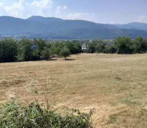 Visoke jutarnje temperature najavljuju vruć dan u Beranama