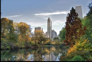 Geografska zanimljivost: Central park