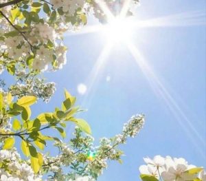 Meteo Berane: Pretežno sunčano