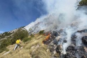 Avioni stižu u pomoć u gašenju požara kod Herceg Novog