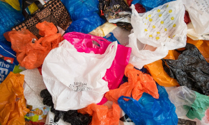Međunarodni dan bez plastičnih kesa