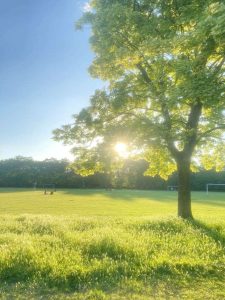 Meteo Berane: Sunčano
