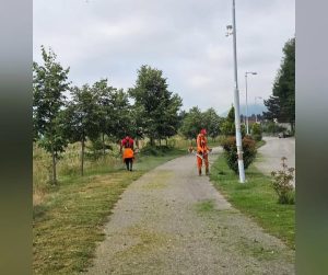 Uređene zelene površine širom grada
