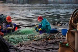 40 hiljada eura podrške ribarskom sektoru