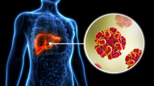 28. jul – Svjetski dan borbe protiv hepatitisa