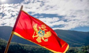Neradni dani za Dan državnosti