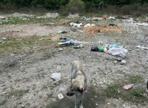 Mještani Petnjika traže uklanjanje divlje deponije u Batunima