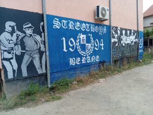 Zidovi između umjetnosti i vandalizma: Šta beranski grafiti govore o kulturi grada?