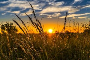 Meteo Berane: Sunčano uz izraženu dnevnu toplotu