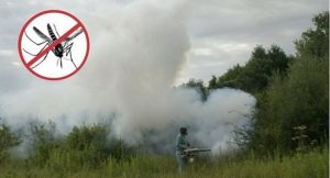 U Petnjici u ponedjeljak zaprašivanje komaraca, apel pčelarima