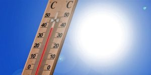 Meteo Berane: Sunčano i toplo