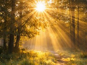 Meteo Berane: Sunčano