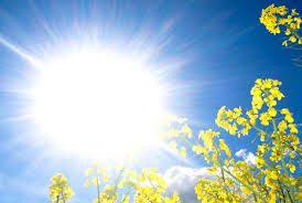 Meteo Berane: Sunčano i toplo