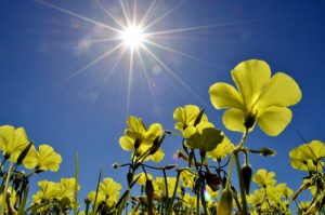 Meteo Berane: Sunčano i toplo