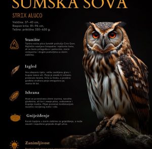 NVO „Sjeverna zemlja“ započela realizaciju novog projekta