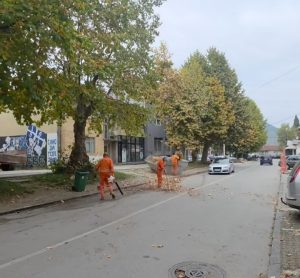 Čišćenje Svetosavske ulice u Beranama